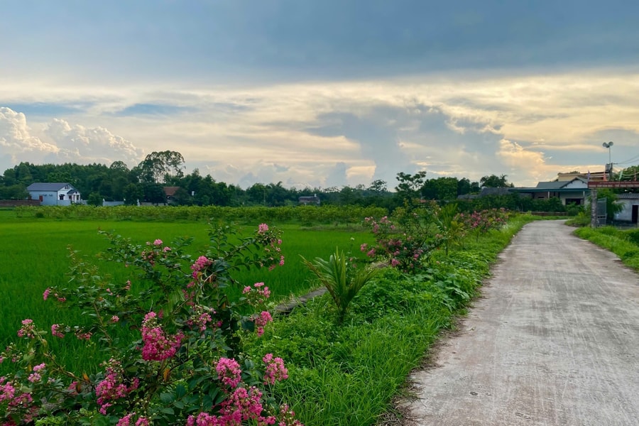 Bắc Ninh: Khi phụ nữ trở thành “hạt nhân” xây dựng nông thôn mới