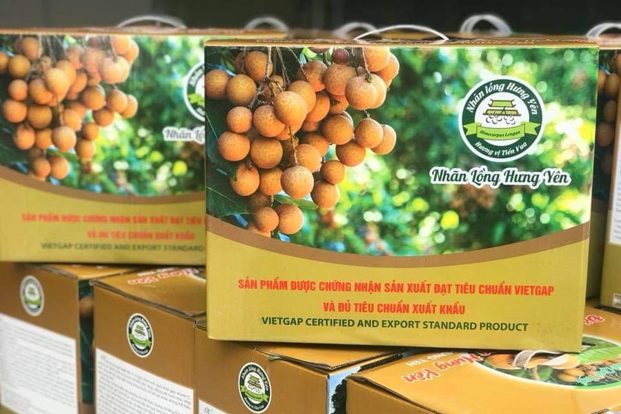 Kinh tế tập thể tạo động lực cho xây dựng nông thôn mới ở Hưng Yên