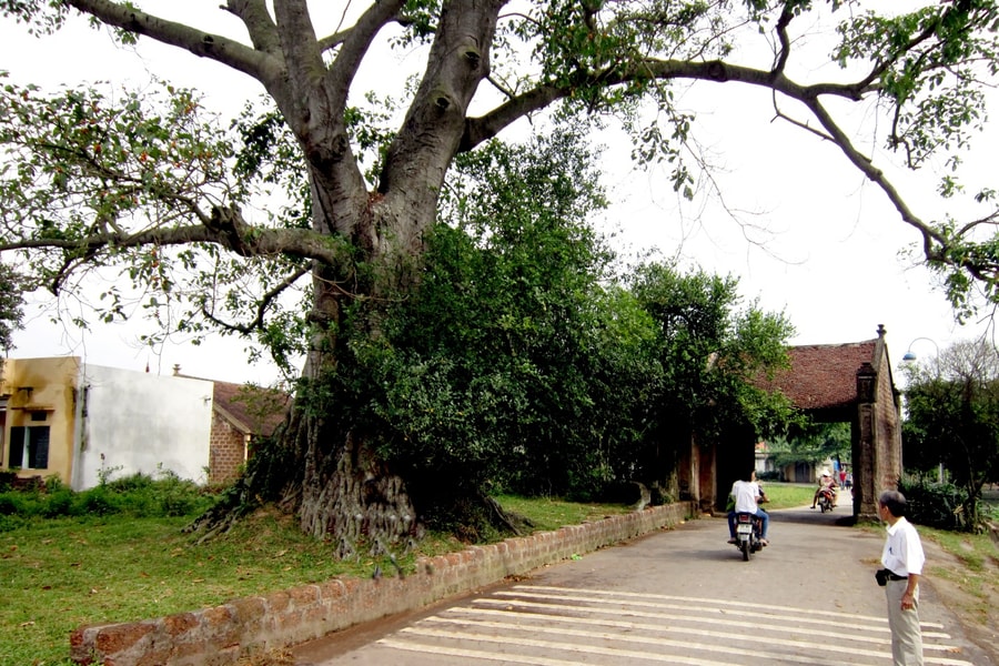 Phát huy văn hóa truyền thống gắn với du lịch nông thôn