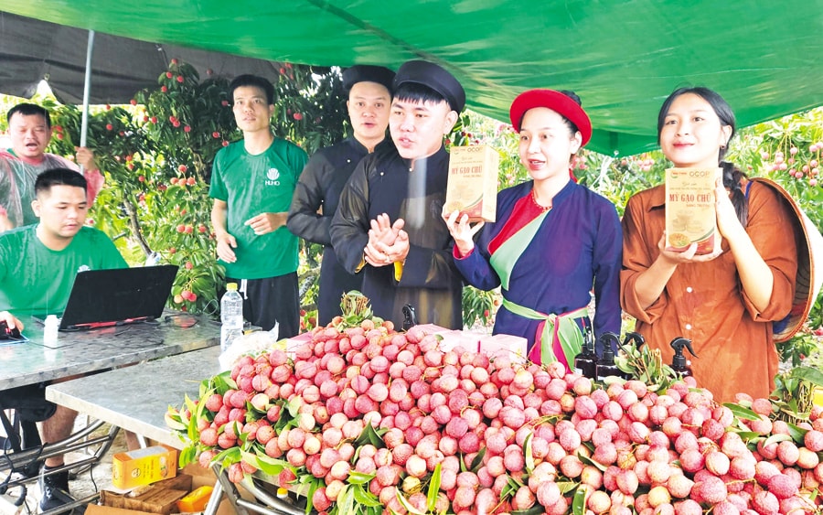 Chuyển đổi số mở lối tiêu thụ nông sản vùng đồng bào dân tộc thiểu số