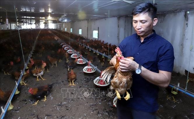 Đổi mới tư duy sản xuất nông nghiệp từ thực tiễn Hưng Yên