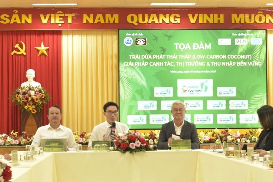 Vĩnh Long: Tìm kiếm giải pháp cho sự phát triển bền vững ngành dừa