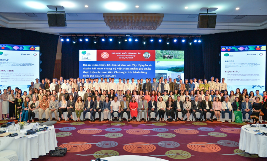 The RECAF project: Solutions for forest protection and rural livelihood improvement