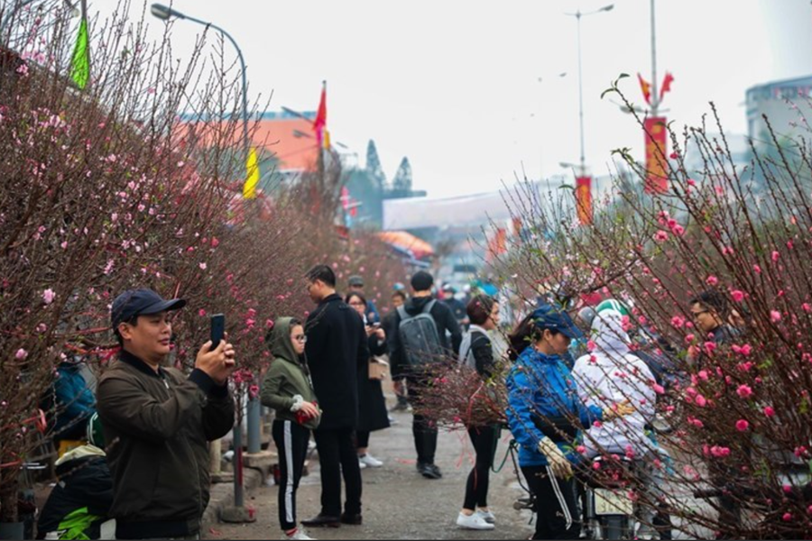 Thời tiết Tết Nguyên đán 2026: Miền Bắc rét về đêm, miền Nam nắng ráo, ít mưa