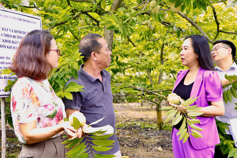 Phát huy vai trò khoa học, công nghệ và chuyển đổi số trong kiến tạo nông thôn mới bền vững ở Thái Nguyên