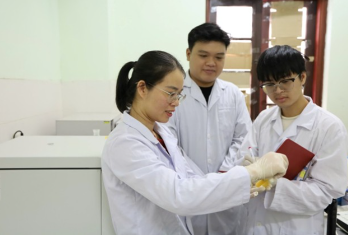 Từ phụ phẩm thủy sản đến viên nang công nghệ cao: Khi khoa học đánh thức tiềm năng vảy cá và hạt Sachi