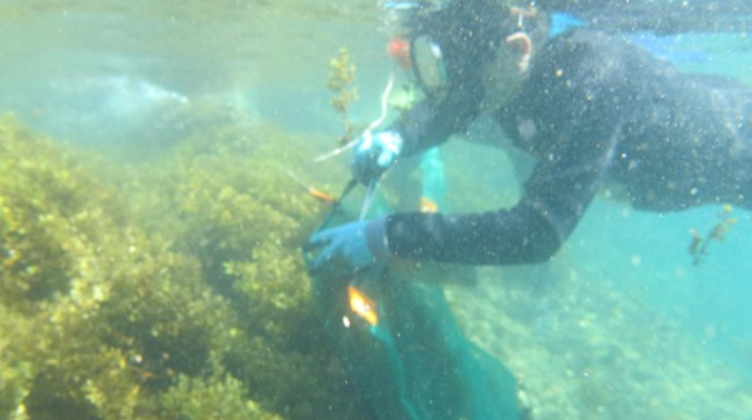 Giải mã “kho enzyme” dưới đáy biển nhờ vi sinh vật biển