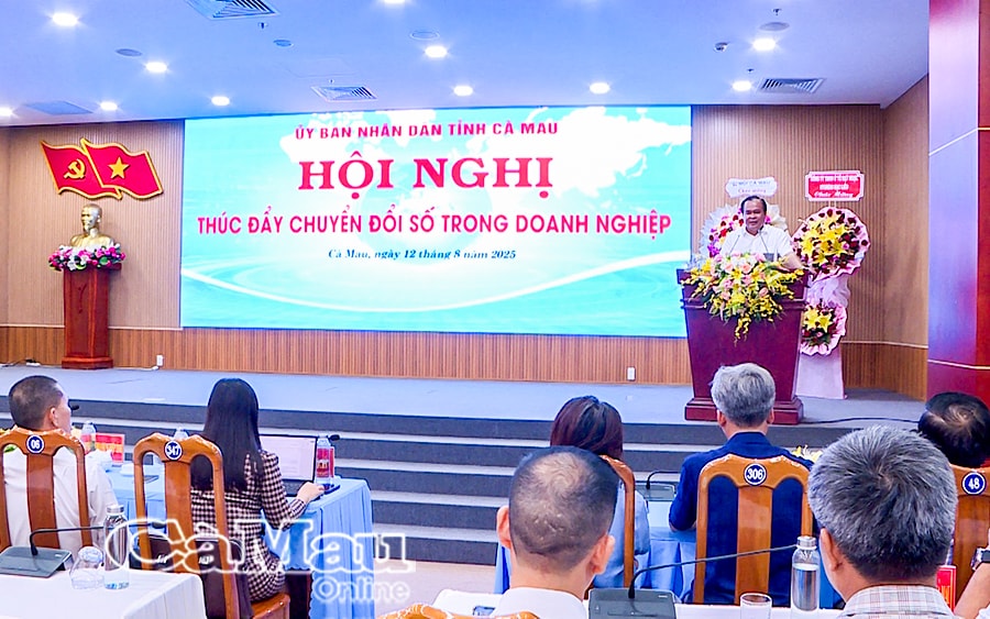 Cà Mau đặt mục tiêu 3.000 doanh nghiệp được hỗ trợ tiếp cận công nghệ số và AI