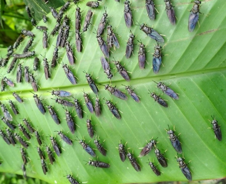 Từ “gánh nặng” rác thải đến “thặng dư sinh thái”: Bài toán văn hóa và tài chính của doanh nghiệp môi trường