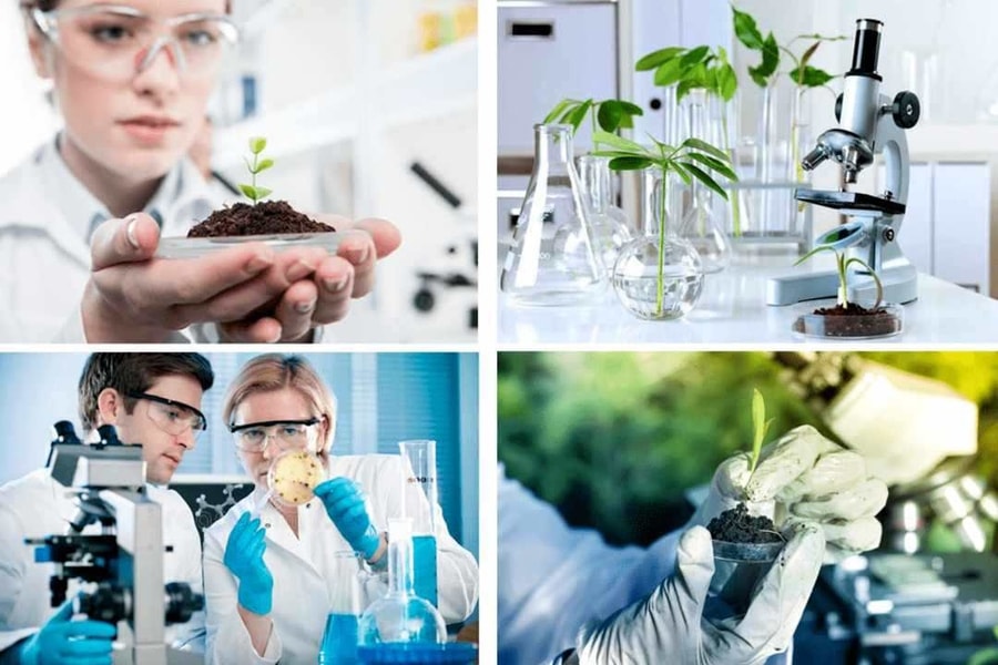 Bộ KH&CN chủ trì xây dựng, tổ chức triển khai các chương trình KH&CN quốc gia về công nghệ sinh học