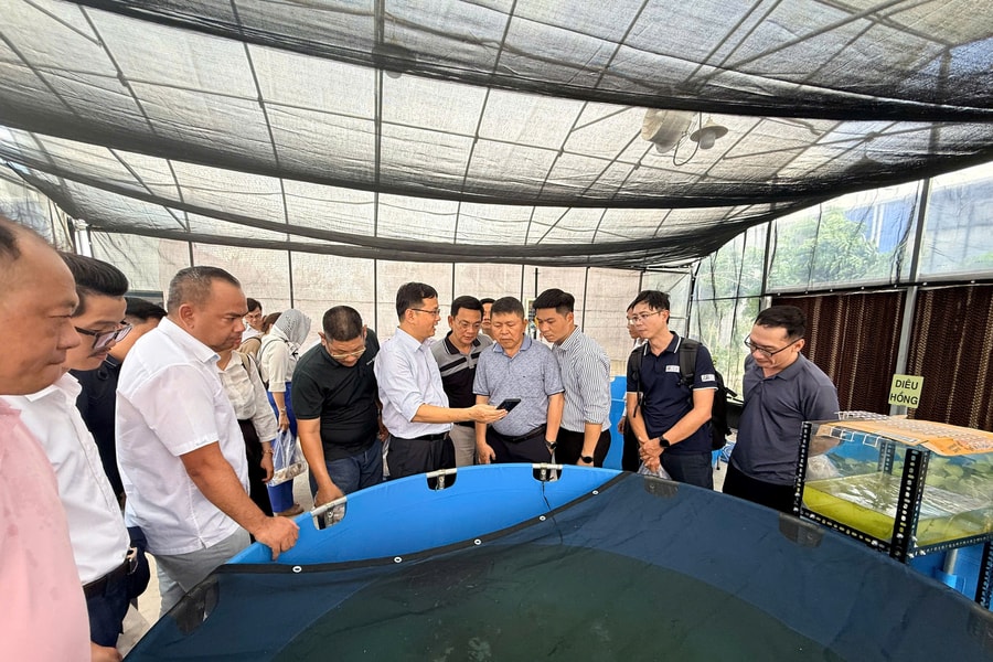 Mở rộng kết nối hệ sinh thái số và phát triển nguồn nhân lực chất lượng cao tại Thành phố Cần Thơ