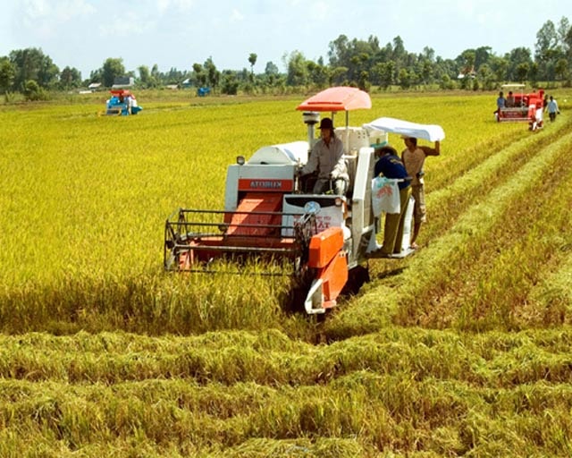 Chế phẩm BIO-RA mở hướng canh tác lúa tuần hoàn ở Hà Tĩnh