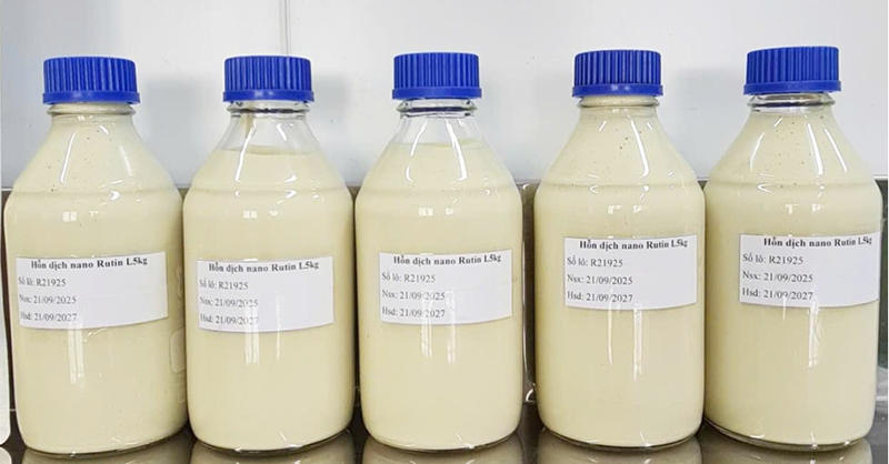Các nhà khoa học tìm cách “đánh thức” hoạt chất rutin