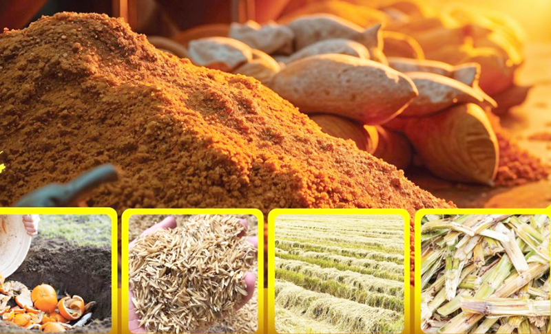 Nông sản Việt lên giá trị nhờ công nghệ và kinh tế tuần hoàn
