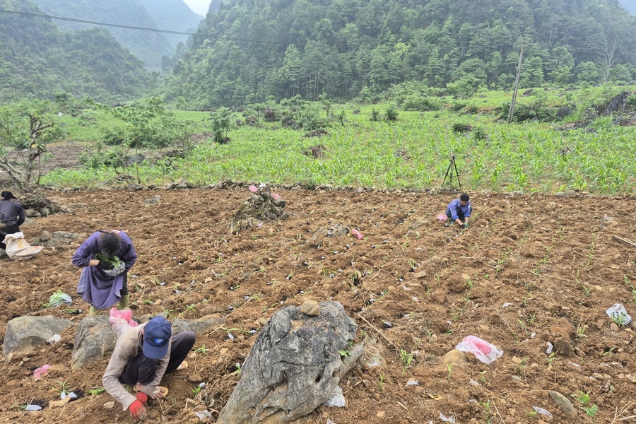 Khoa học và công nghệ mở đường cho nông nghiệp hữu cơ ở Cao Bằng