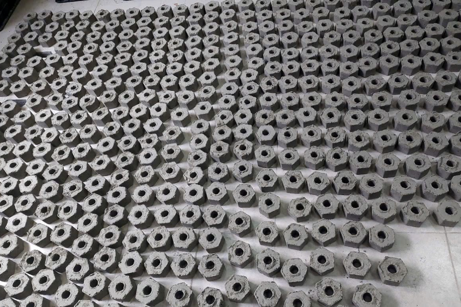 "Viên gạch sinh học" made in Vietnam mở hướng xử lý nước thải hiệu quả, chi phí thấp