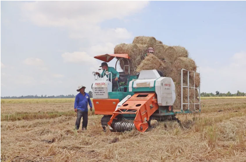 Đồng Tháp đào tạo khoảng 2.250 lao động để hình thành đội ngũ nông dân số