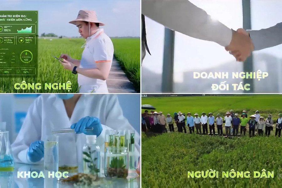 Đổi mới sáng tạo từ khu vực tư nhân: Kiến tạo hệ sinh thái nông nghiệp xanh hướng tới Net Zero