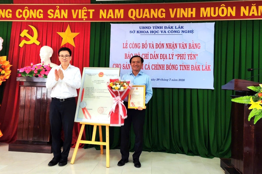 Cấp văn bằng bảo hộ chỉ dẫn địa lý cho sản phẩm cá chình bông Phú Yên