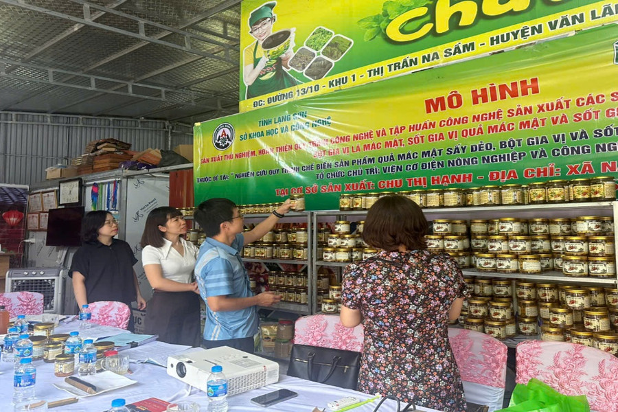 Đưa đặc sản mác mật Lạng Sơn từ vườn ra thị trường
