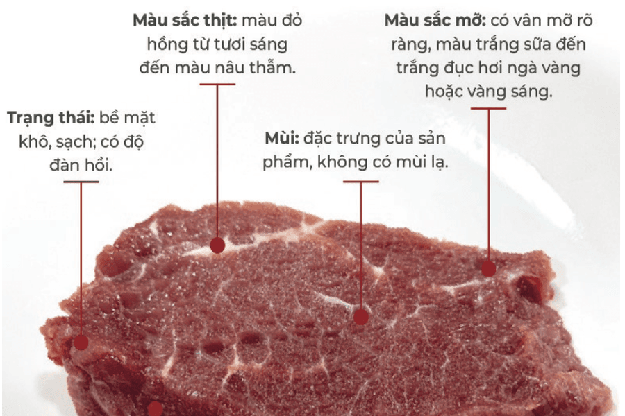 Xây dựng, quản lý và phát triển nhãn hiệu chứng nhận “Bò Tây Ninh”