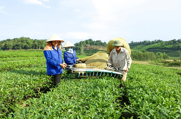 Phát triển chuỗi giá trị du lịch nông thôn Nghệ An: Từ tiềm năng đến mô hình liên kết bền vững