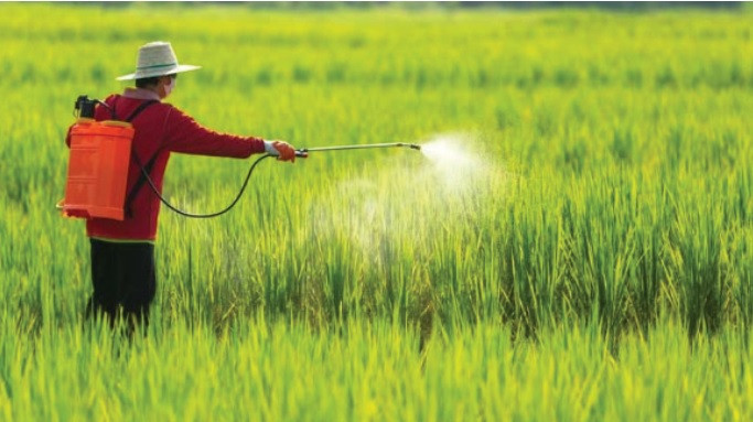 Cảm biến giúp phát hiện nhanh thuốc diệt cỏ độc hại