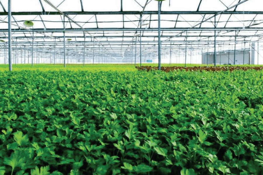 Khoa học và công nghệ phục vụ mục tiêu đạt mức phát thải ròng bằng 0 tại Việt Nam