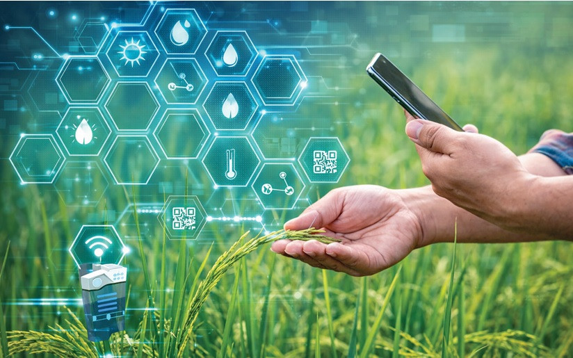 Ứng dụng công nghệ blockchain trong nông nghiệp Việt Nam: Phân tích kinh nghiệm quốc tế và đề xuất lộ trình triển khai