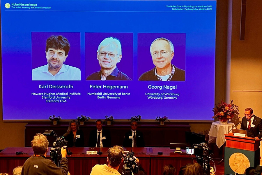Giải Nobel Y sinh 2026 vinh danh ba nhà khoa học dùng ánh sáng khám phá hoạt động của não bộ